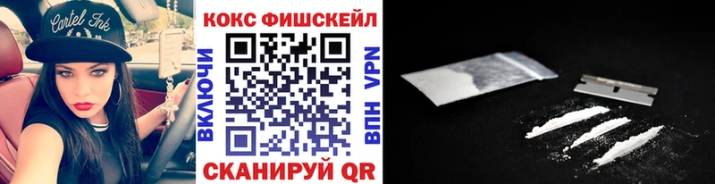 Купить закладки  Вилюйск  Cocaine Эквадор 