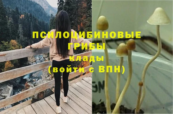 метадон Богородицк
