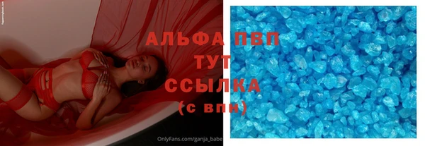 трава Белокуриха