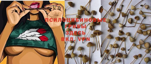 метадон Богородицк