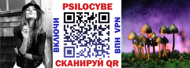 Купить закладки  Вилюйск  Галлюциногенные грибы Psilocybine cubensis 